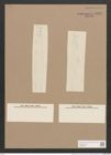 Pleurosigma clevei Grun. (de-Toni-Nr.: Genus 13, Species 1012) Zeichnungen Sammlung Grunow Nr. 2068 (NHMW-BOT-W0368930)